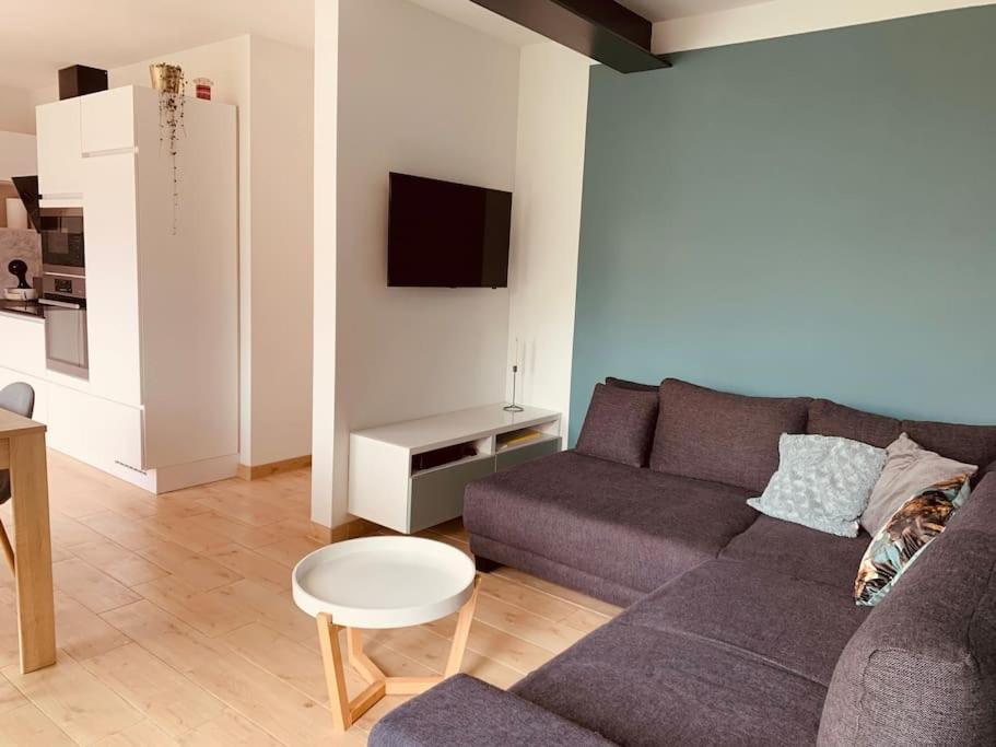 Maison En Plein Centre Avec Terrasse Et Jardin Vielsalm Bagian luar foto
